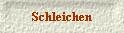 Schleichen