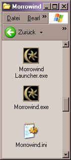 Morrowind.ini-Datei im Morrowind-Verzeichnis